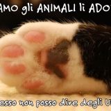 concetta