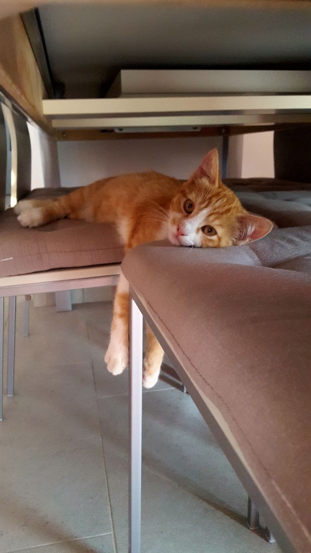 Riposare in modo strano. Fatto!