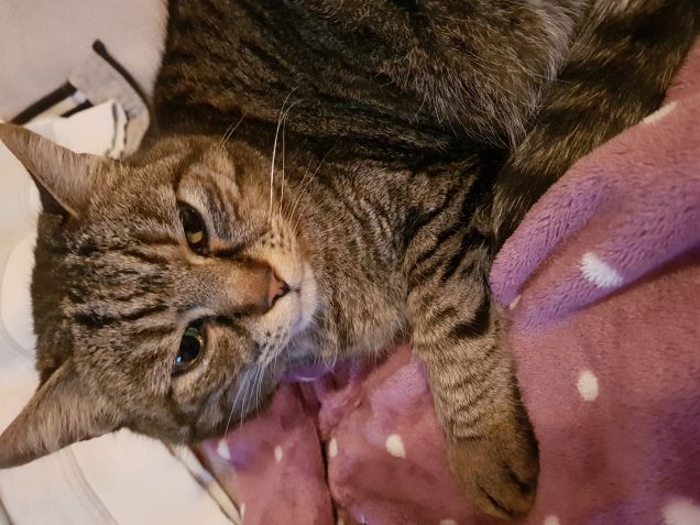 Ci prepariamo per la notte 