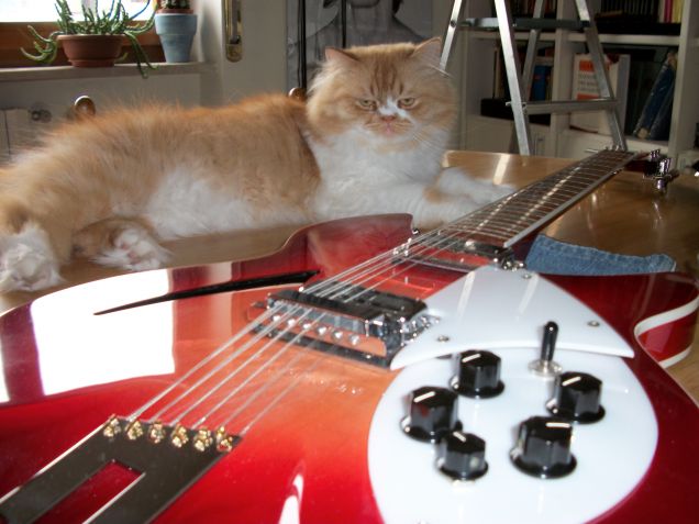 Otto and guitars.