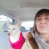gina