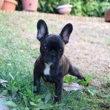 Fulmine il bullo