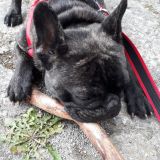 Fulmine il bullo