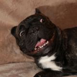 Fulmine il bullo
