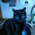 princy77