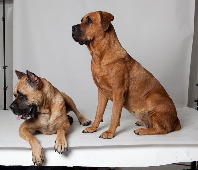 Minerva e fratello Zeus al casting