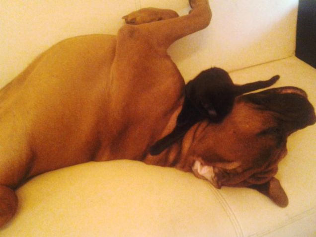 Se non è amore questo....