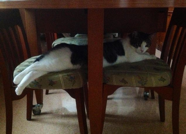 Una sedia non gli basta..