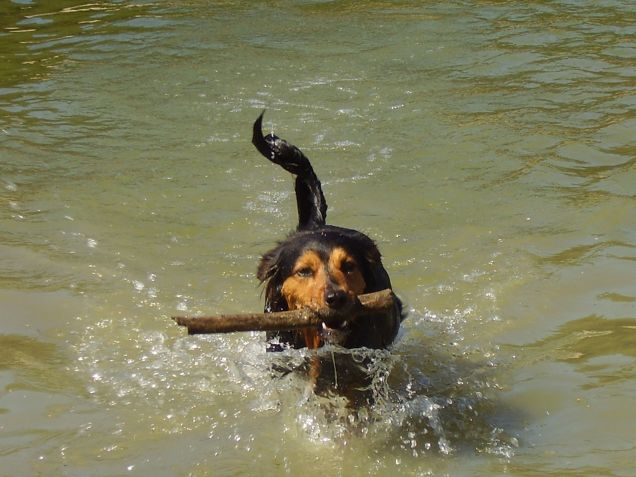 ho imparato a nuotare !