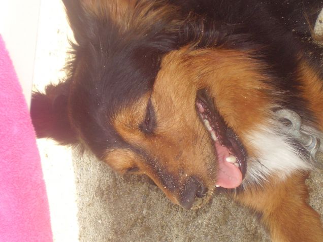 che caldo qui al mare !