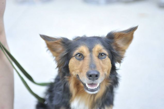 fai un bel sorrisooo !