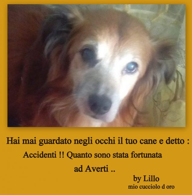 Lillo 