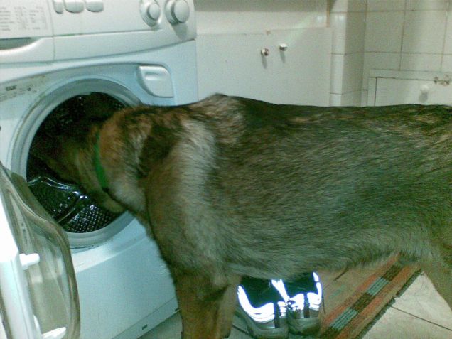 anche oggi il bucato!