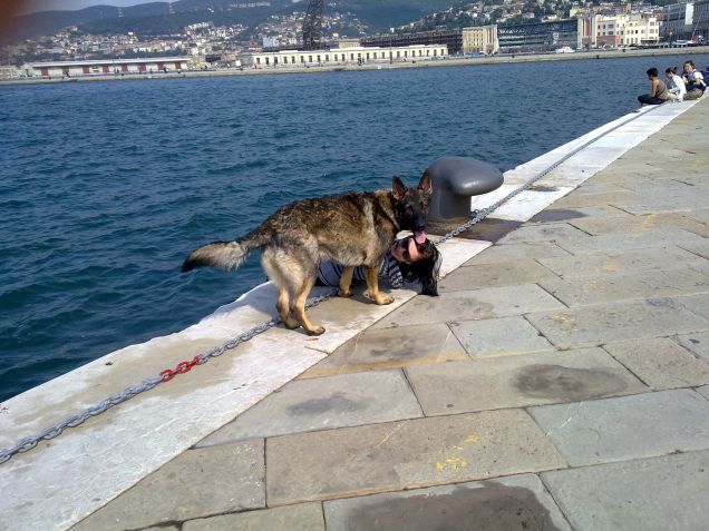 in riva al mare in cittÃ 