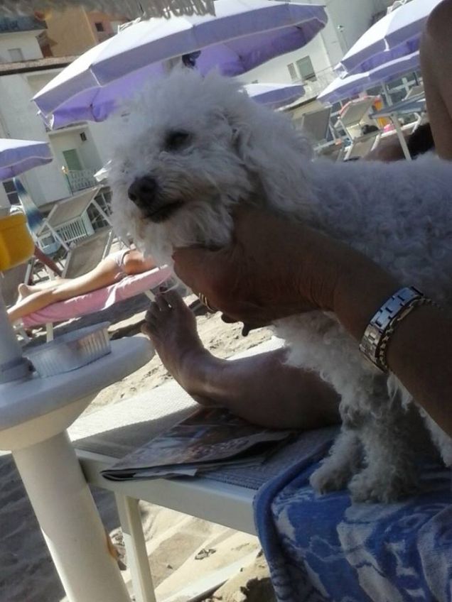 lunetta prende l'ombra in vacanza