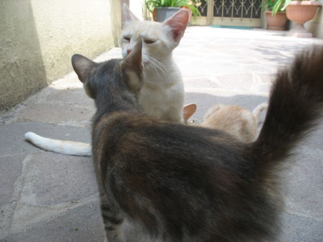 Mamma e figlia!