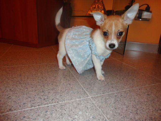 La mia principessina 