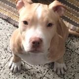 Vera