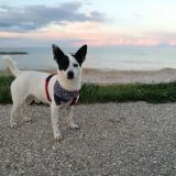 Amo posare per fare foto