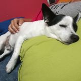 Dormire nelle posizioni più strane