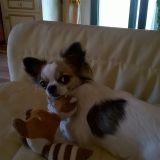arianna