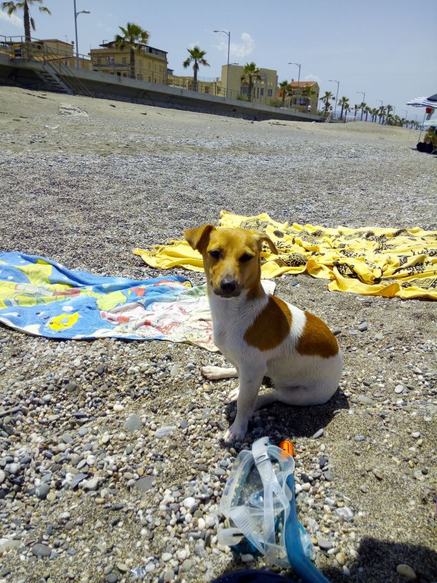 Dory in spiaggia