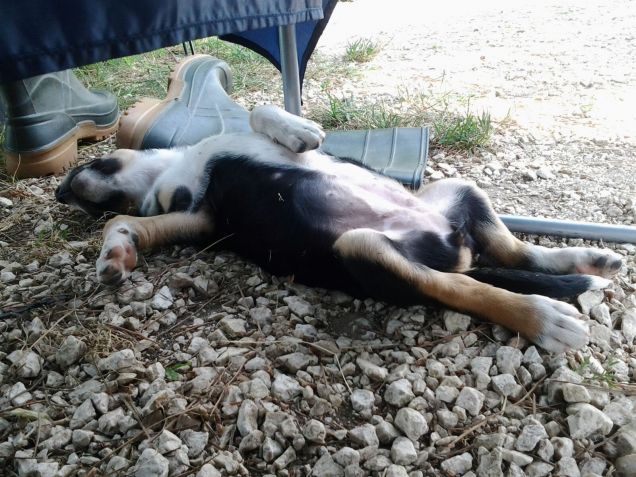 distrutta dopo una lunga giornata di campeggio