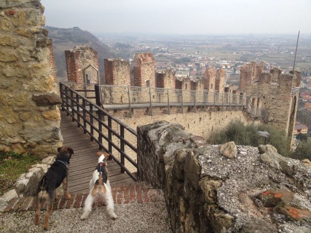 Tra le mura del castello