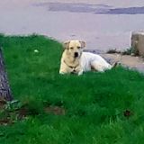 A piedi nudi nel Parco...