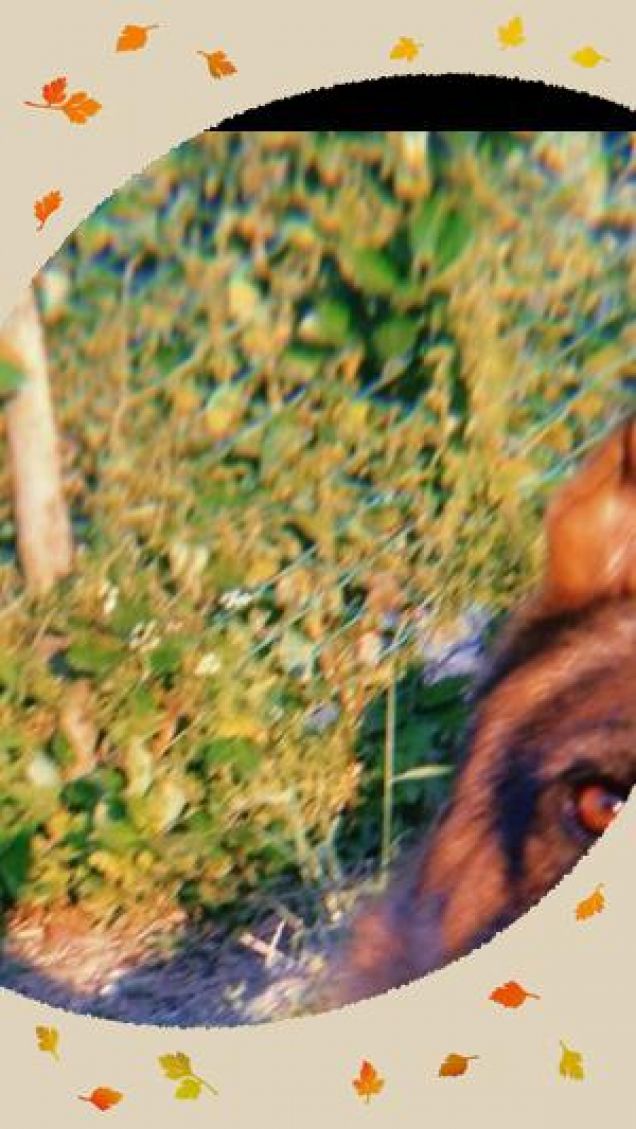 Aaron e i suoi colori