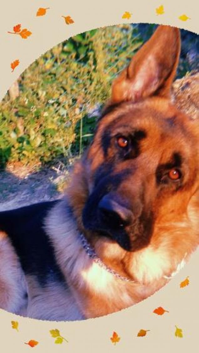 Aaron e i suoi colori