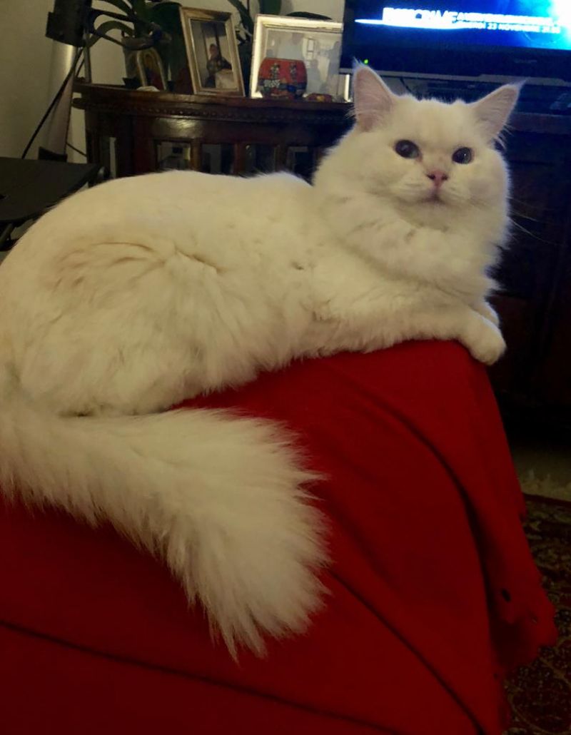 Matilda