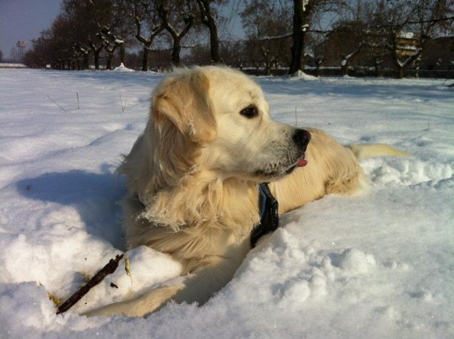 ma che bella è la neve!!