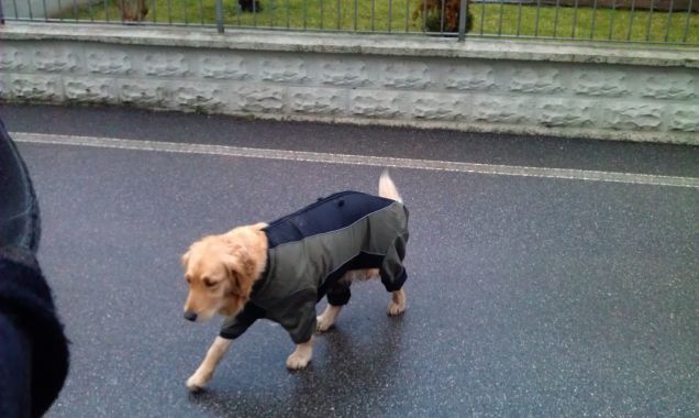 Passeggiata al calduccio in dolce attesa