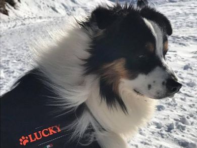 LUCKY