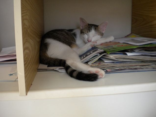 la nanna sui giornali