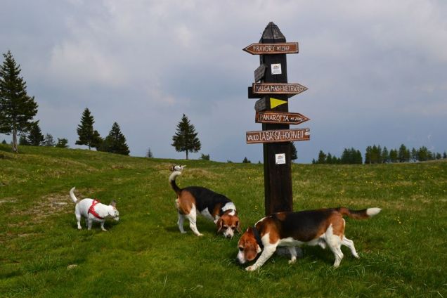 Spike e amici in Panarotta
