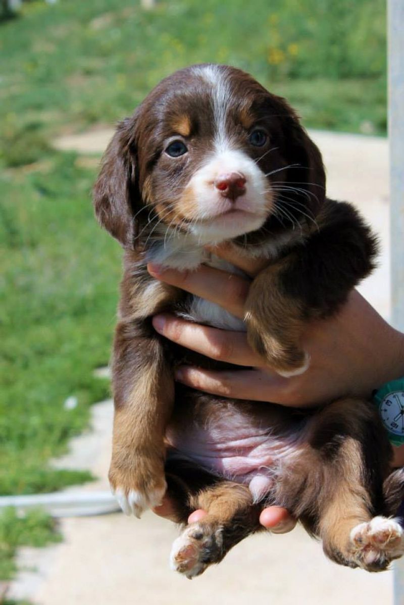 questa associazione ha bisogno del tuo voto
