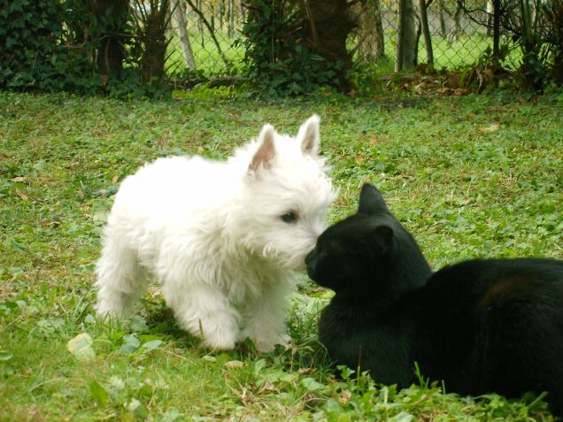 Ambra e il suo fidanzato gatto Pedro