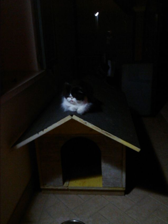 alle alte si sta meglio