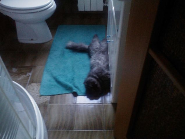 sono lungo come l'armadietto! 