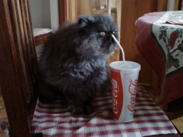 mmm la coca cola....