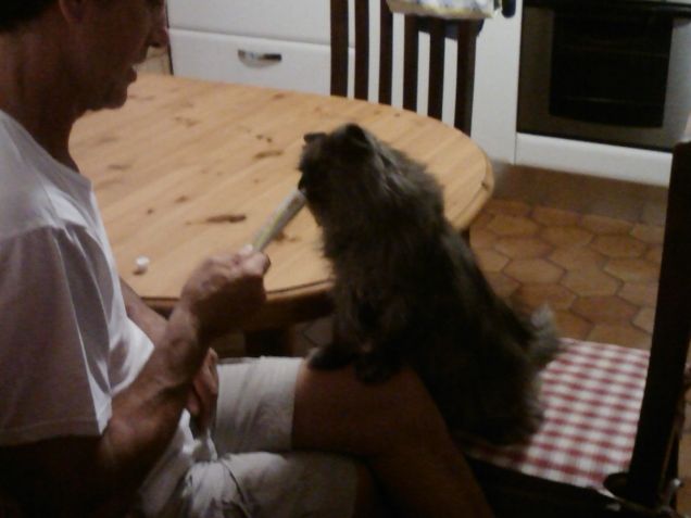 mmmm la mousse.....miaoooooo