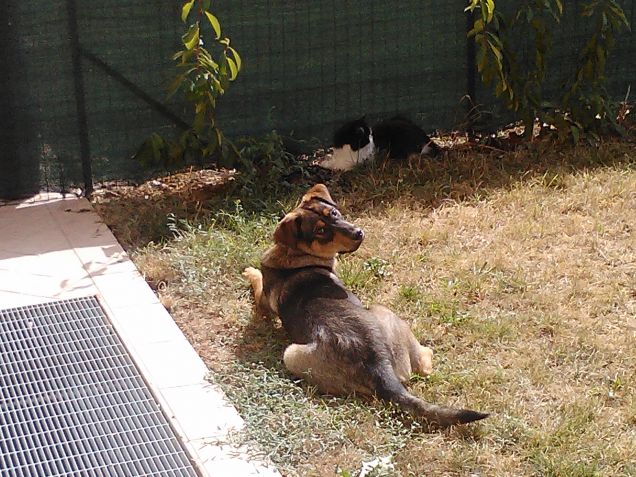 noi non ci facciamo compagnia...