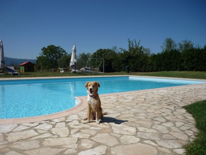 AGRITURISMO FATTORIA GRAVANELLA