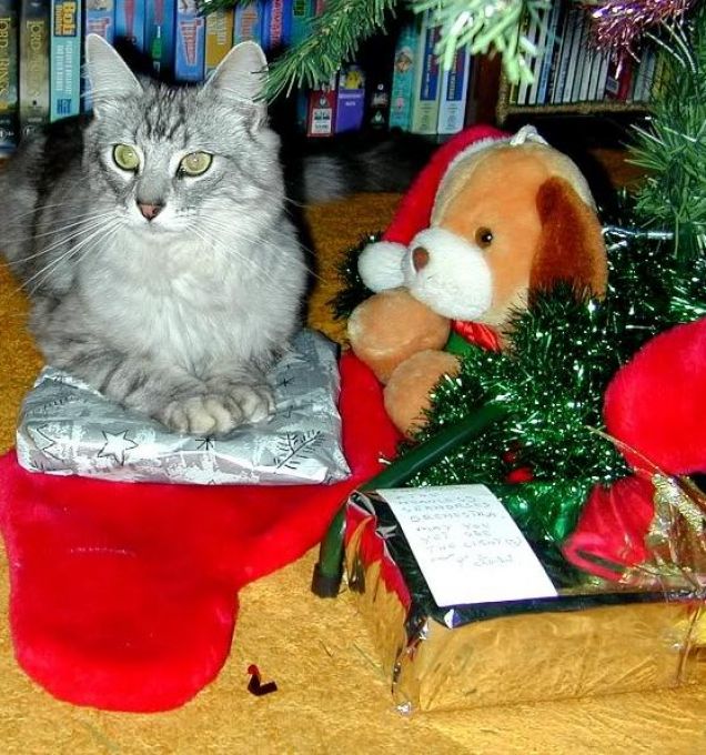 i regali di Miao!