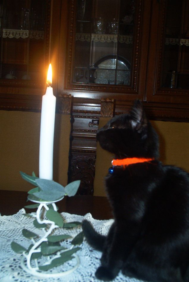 Cleo e la candela di Natale