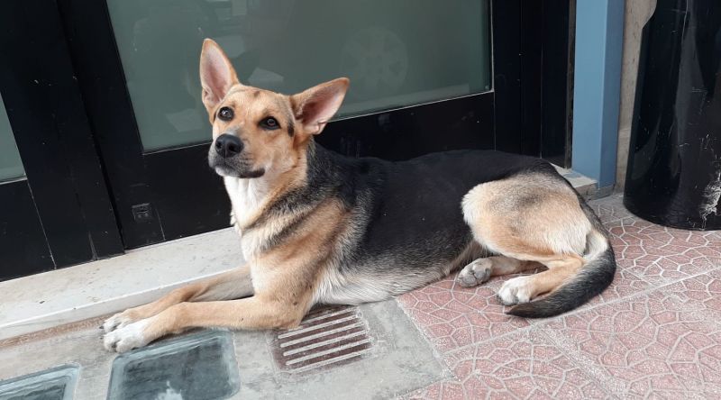 Maya cerca casa!!!!