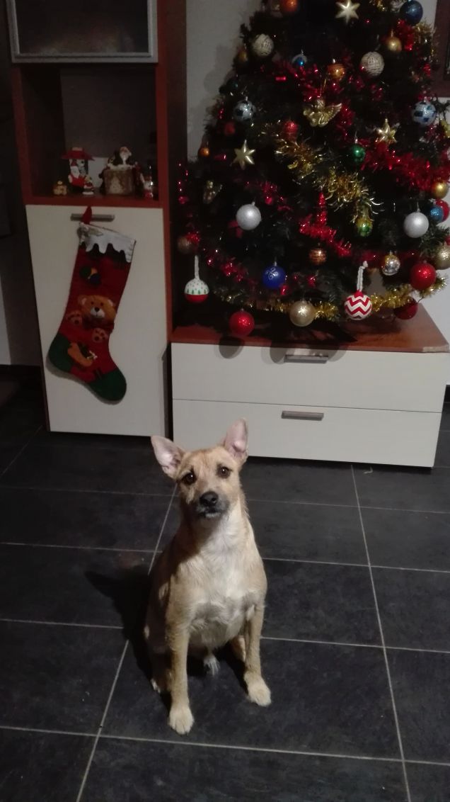 Il mio migliore amico