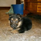 il mio Max